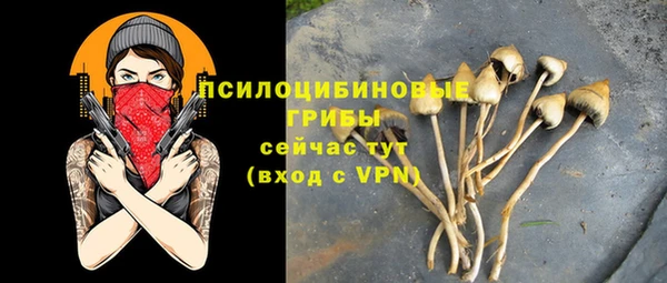 дурь Лабытнанги