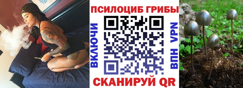 закладка  Анива  Псилоцибиновые грибы MAGIC MUSHROOMS 