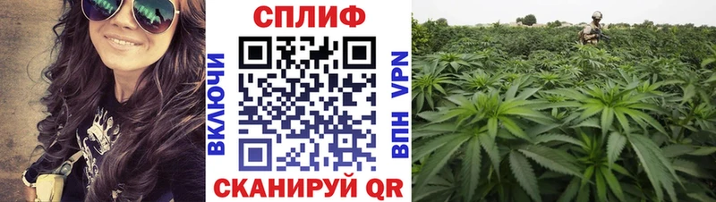 Каннабис VHQ  дарнет шоп  Анива 